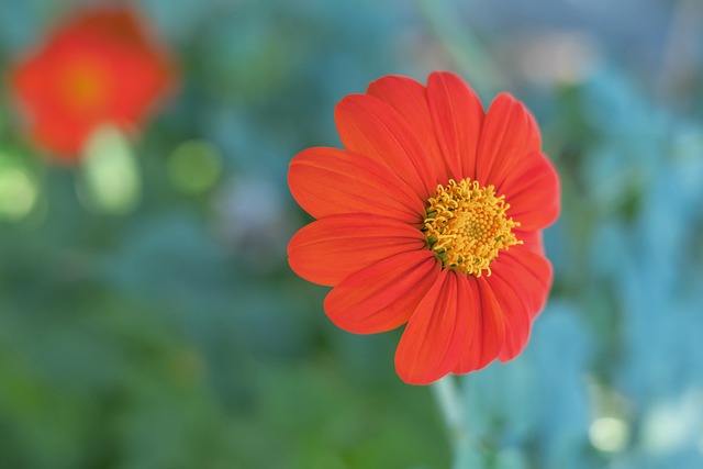 他還在代表 他還在代表