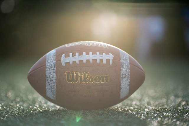 法蘭西體育 法蘭西體育