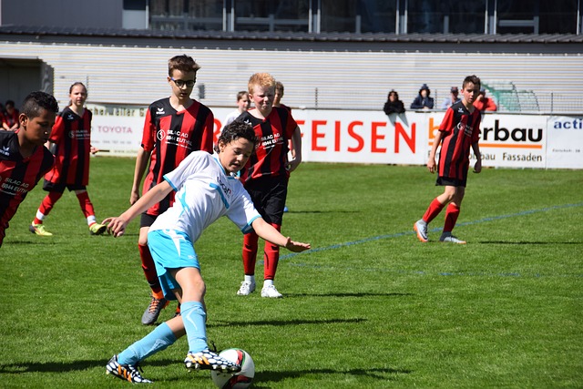 攻击手段 攻击手段