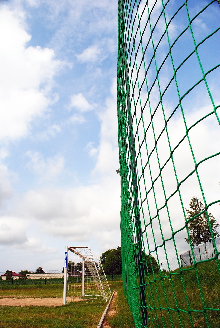 员的未来发 员的未来发