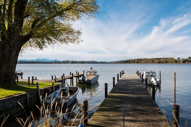 岁的米神能 岁的米神能