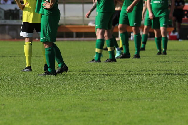 竞技成绩与 竞技成绩与