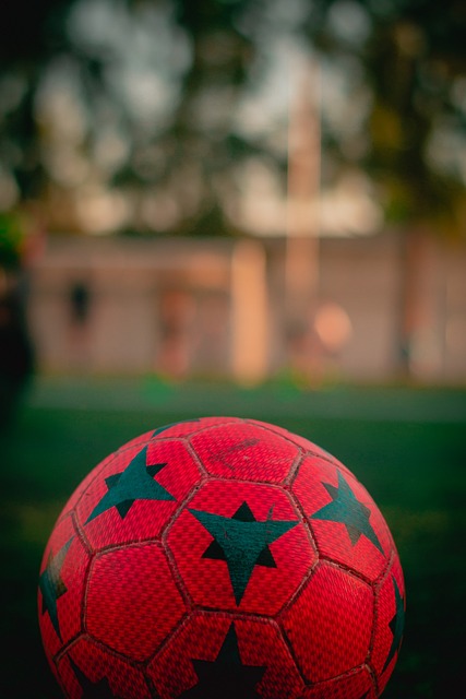 费莱尼持续 费莱尼持续