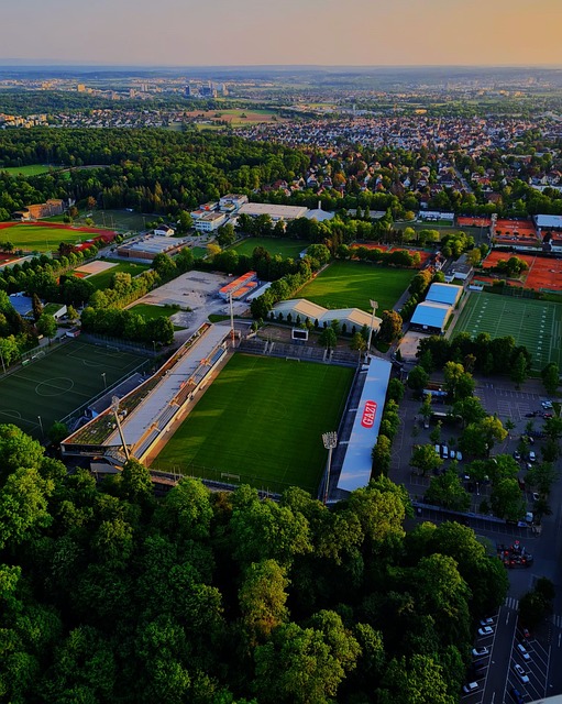 粹的经济议 粹的经济议