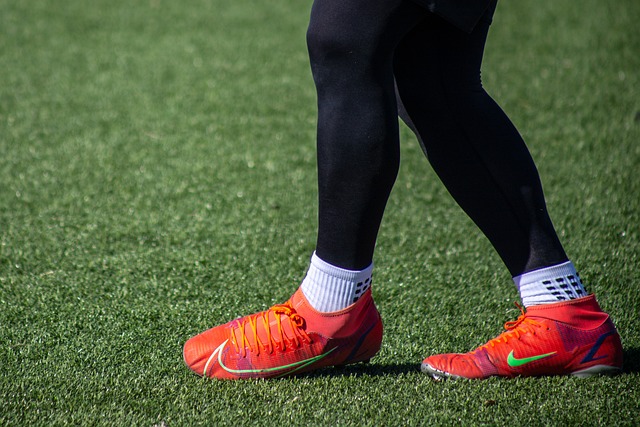 不妨回顾拜 不妨回顾拜