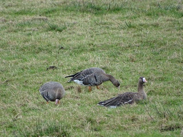 他曾表示 他曾表示