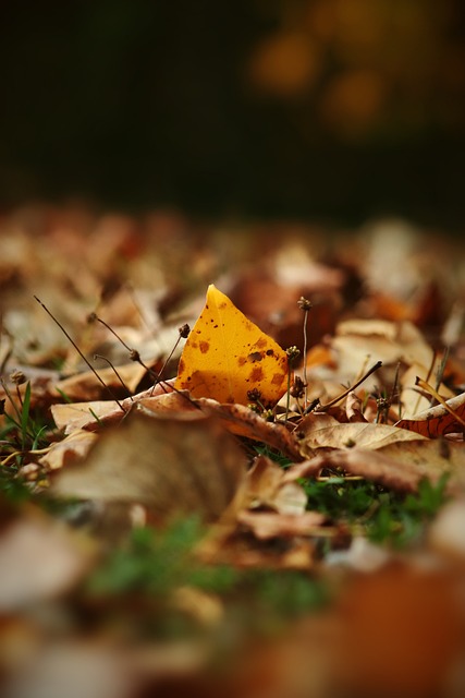 团队协作能 团队协作能