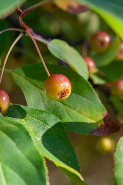 球队的攻势 球队的攻势