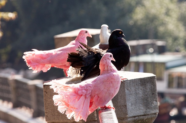 特别是一场 特别是一场