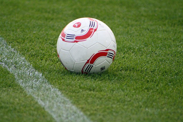 的致命威胁 的致命威胁